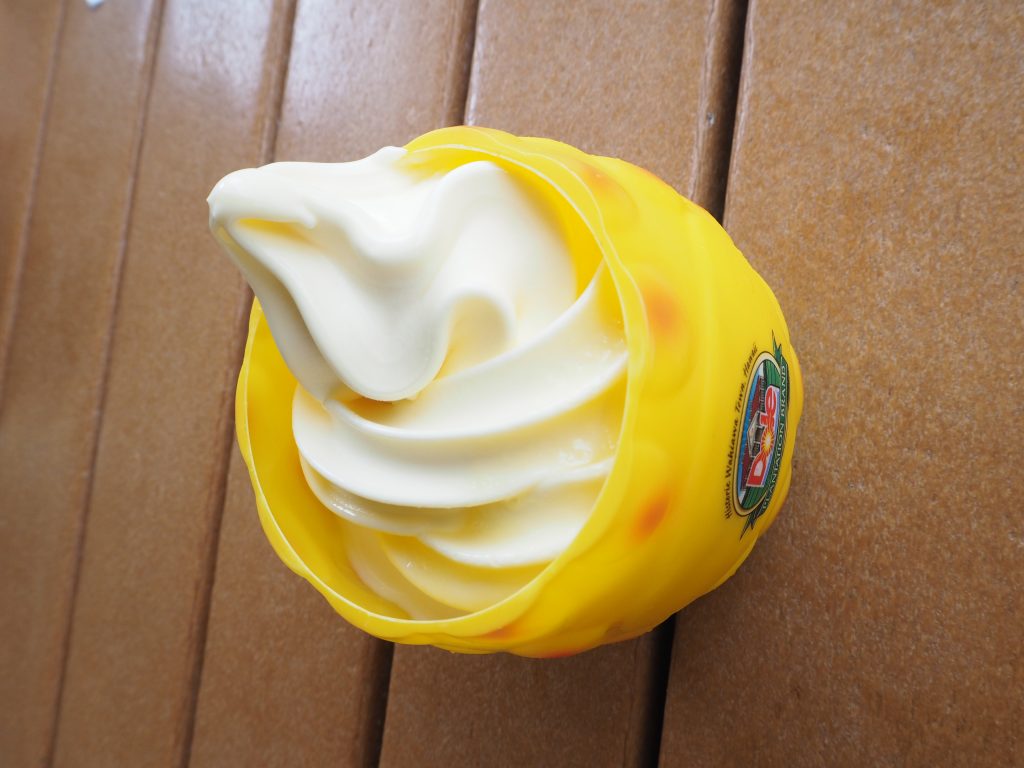 ハワイ　ドール・プランテーション　アイスクリーム